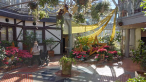 Inside the Glasshouse, featuring hanging plants, vibrant flowers, decorations, and natural light.