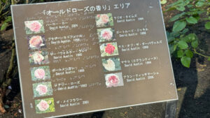 Sign featuring images and names of roses with Japanese braille included on the board.