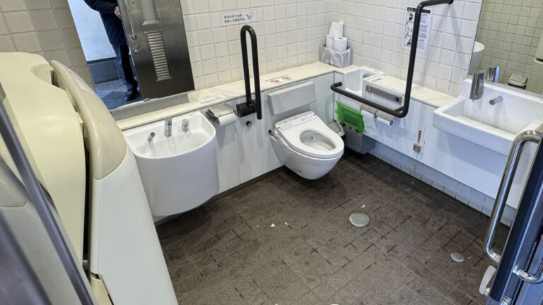 The interior of the accessible toilet features grab bars, a bidet-equipped toilet with a backrest, a baby-changing station, and ostomate sink.