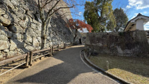 A smoother, gently sloping path inside the castle grounds.