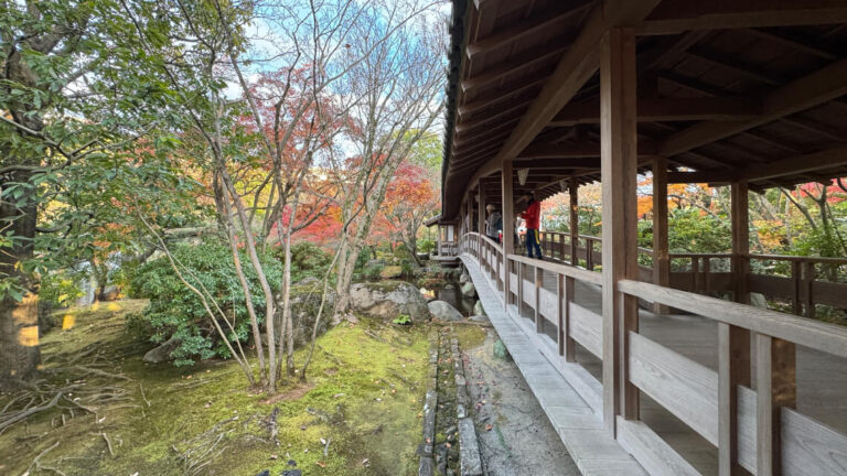 A covered wooden walkway with railings in Kokoen Garden, surrounded by trees with autumn foliage and a moss-covered ground below.