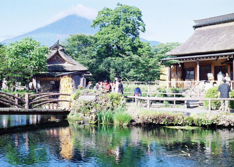 fuji oshino 768x548