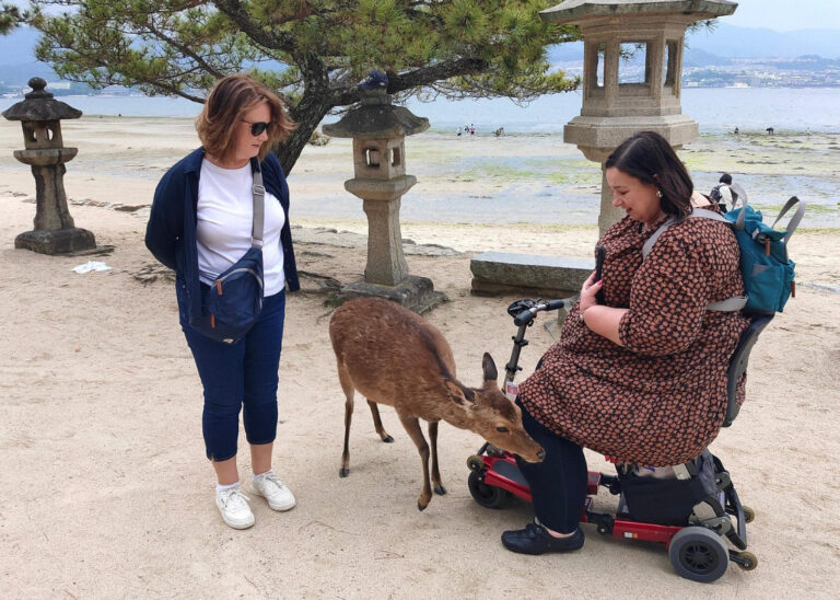 hiroshima deer 768x548