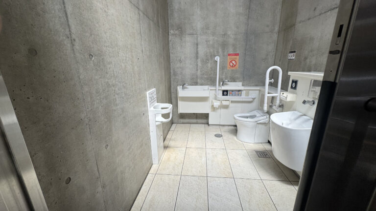 IMG 1764 768x432