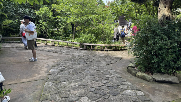 IMG 1769 768x432