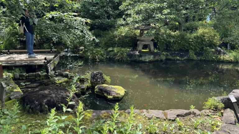 IMG 1772 768x432