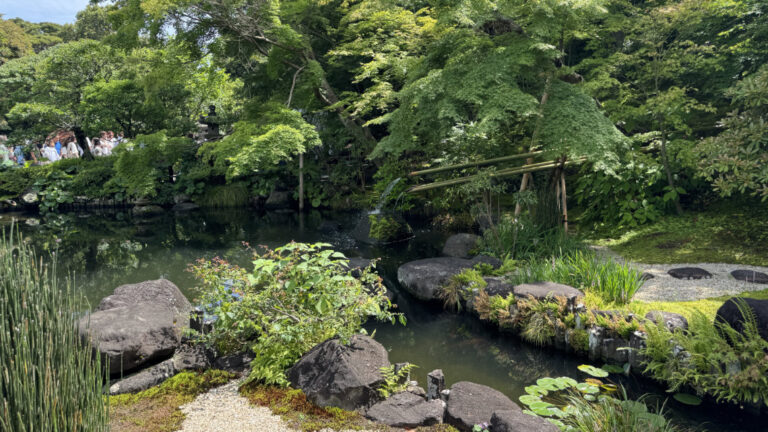IMG 1774 768x432