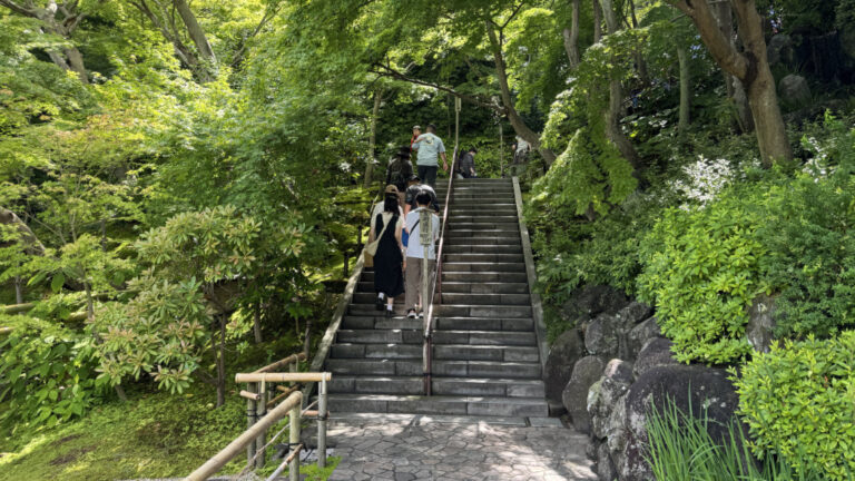 IMG 1776 768x432