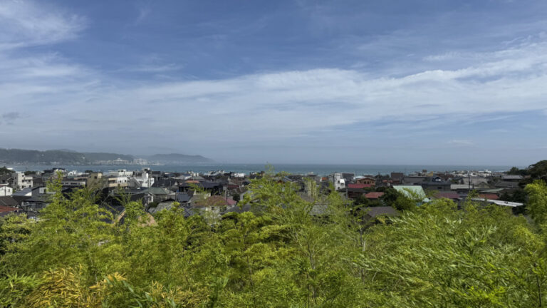 IMG 1778 768x432