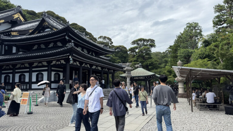 IMG 1779 768x432