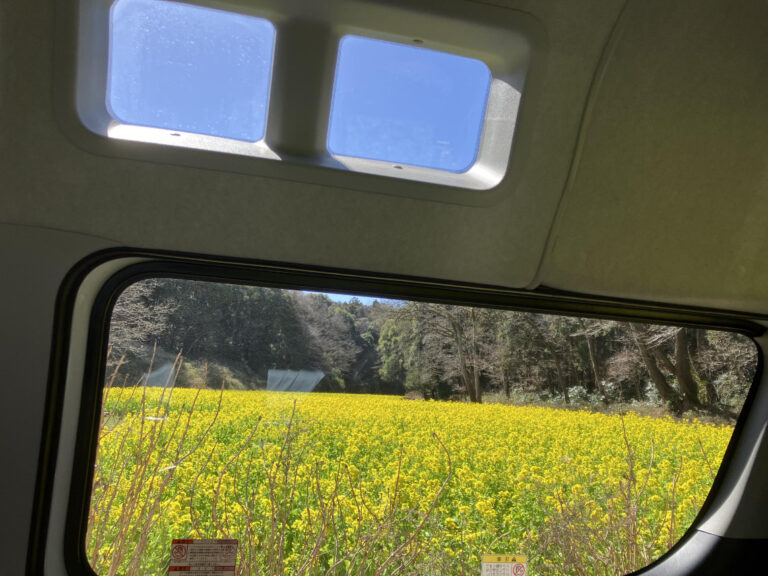 one trail skylight 768x576