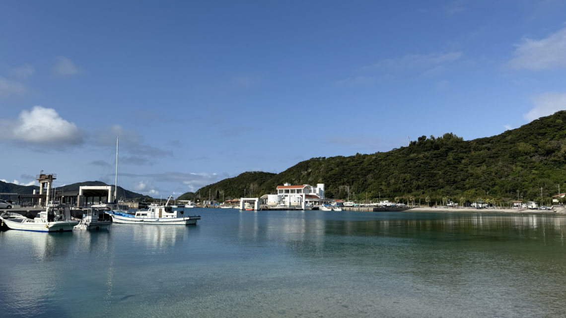 Small boats docked in a calm harbor with clear water, surrounded by green hills and scattered buildings under a blue sky.