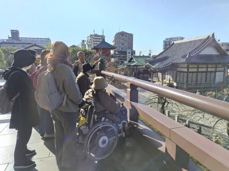 231210100231086 768x576