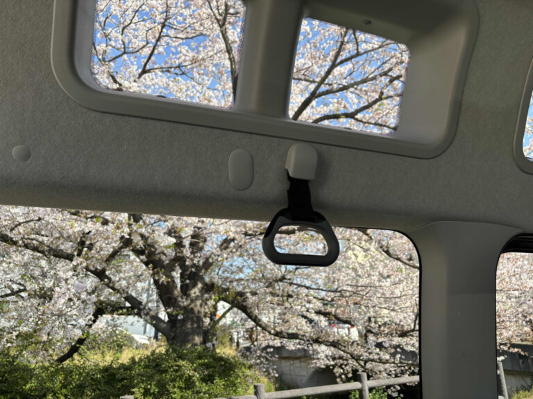 車窓 天窓 桜 768x576