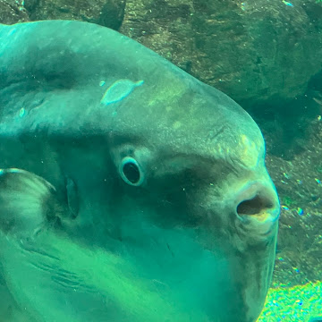 Profile photo of 高木智士